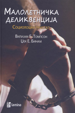 Малолетничка деликвенција – Социолошки пристап