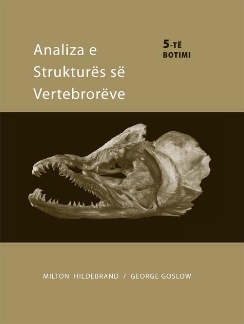 Analiza e structures vertebroreve