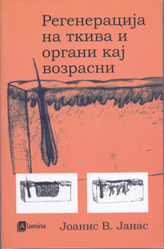 Регенерација на ткива и органи кај возрасни