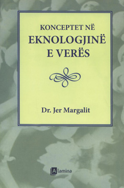 Konceptet nё eknologjinё e verёs