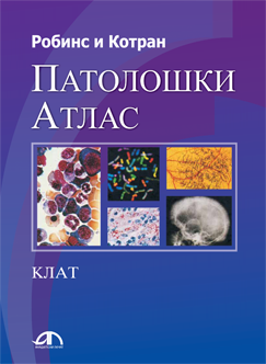 Робинс и Котран - Патолошки атлас